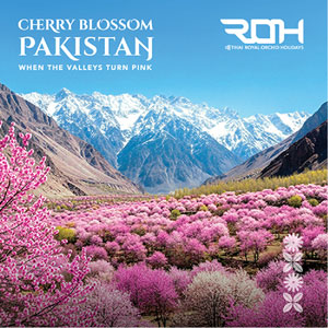 The Pink Silence of the Karakoram