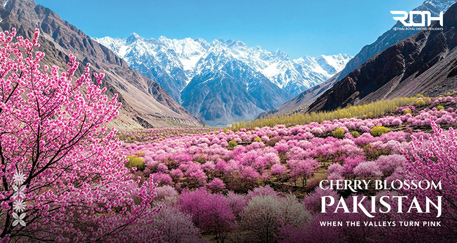 The Pink Silence of the Karakoram