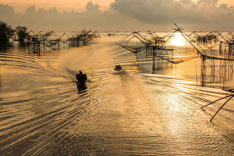 Capture Traditional Fishing Nets (Yo Yak) in Phatthalung