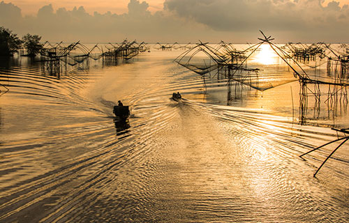 Capture Traditional Fishing Nets (Yo Yak) in Phatthalung