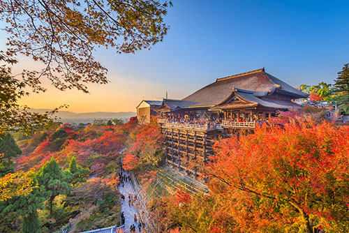 Follow Japan's Three-Month Autumn Spectacular from North to South